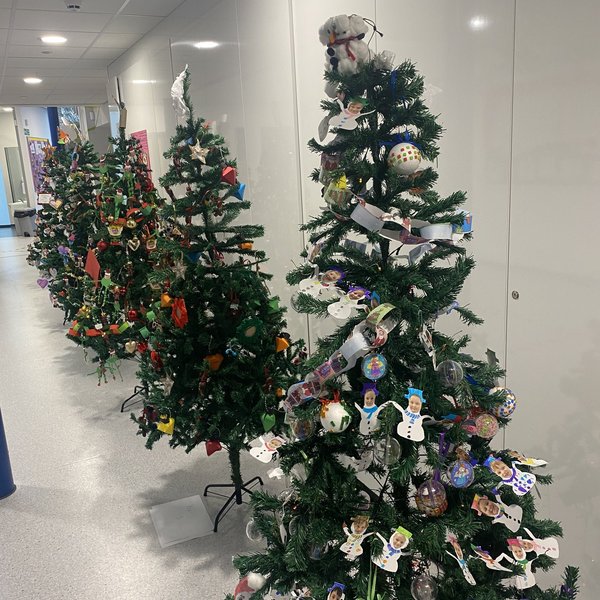 Image of Christmas Tree Decorating Competition!